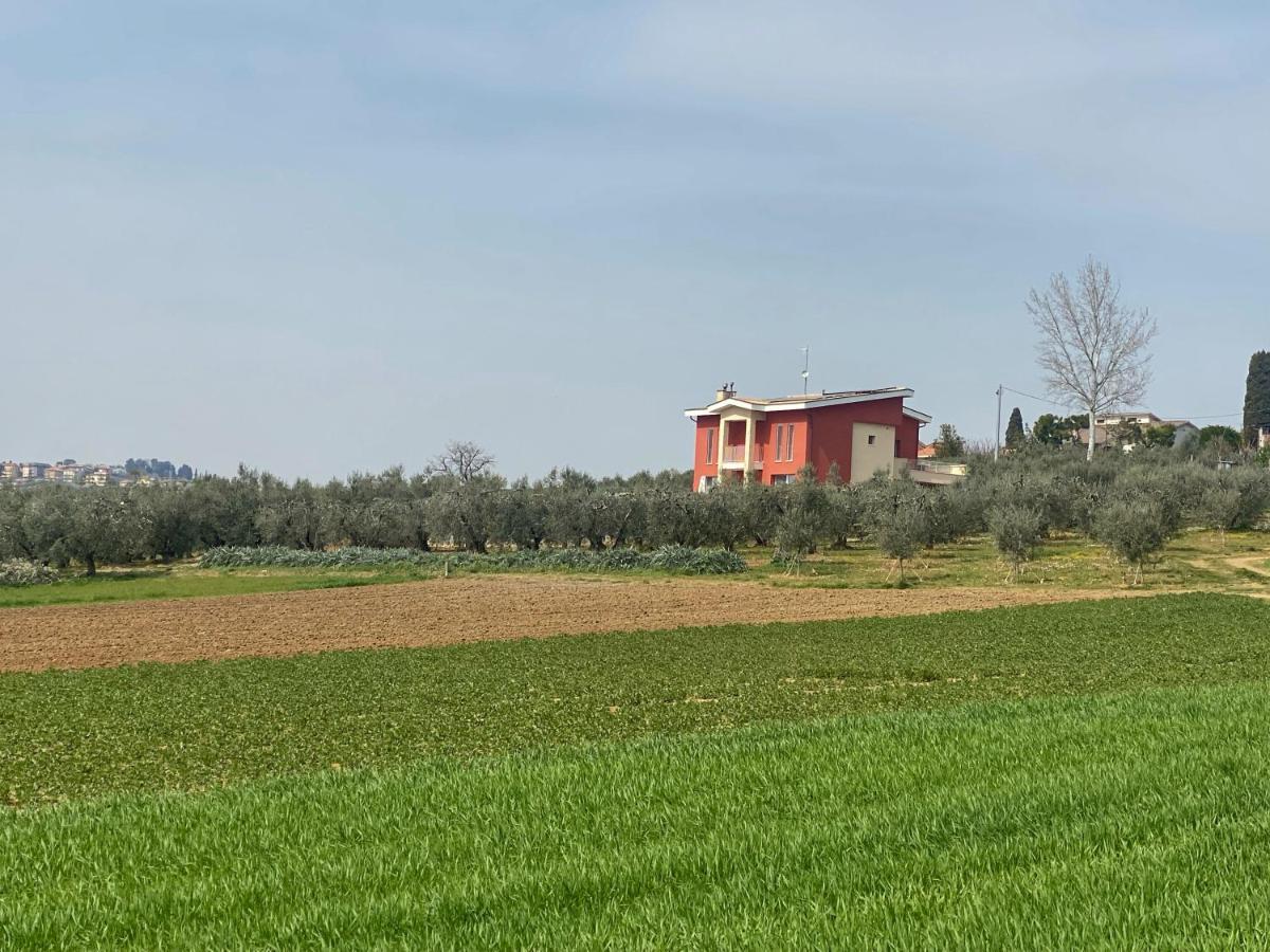 Olea B&B Montecosaro  ภายนอก รูปภาพ