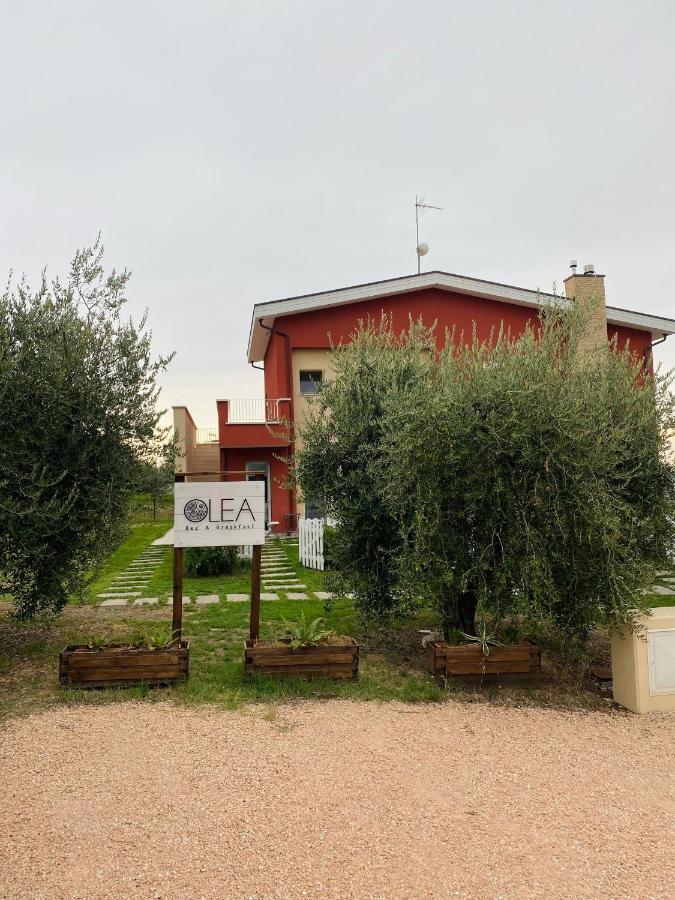 Olea B&B Montecosaro  ภายนอก รูปภาพ
