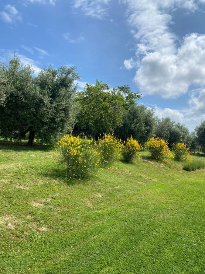 Olea B&B Montecosaro  ภายนอก รูปภาพ